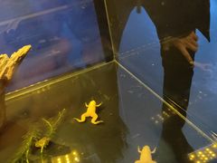 -大连圣亚海洋世界