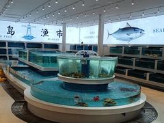 -三亚湾红树林度假世界(木棉酒店)