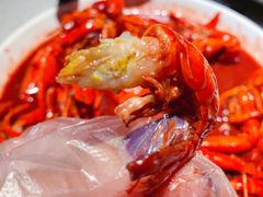 -京韵胡同·酱香羊蝎子火锅涮肉(长寿路店)