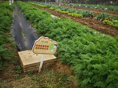 -上膳源有机农场