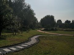 -林栖谷森林康养度假区