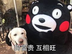 -螺大蛳柳州螺蛳粉·火锅·热干面(西城永捷店)