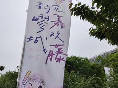 -嘉定紫藤园