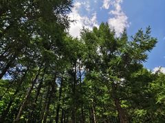 -白草畔自然风景区