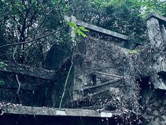 -上海佘山国家森林公园天马山园