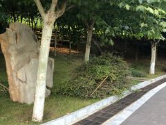 -河北省园博园