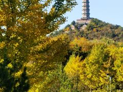 -北坞公园