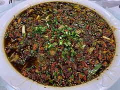 -西木兔(大圆祥店)