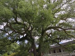 -蒋氏故居