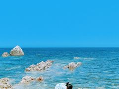 -养马岛旅游度假区