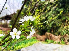 -中国天府农业博览园