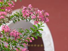 -妙应寺白塔