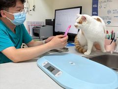 -美联众合24小时·皮肤科·外科·全科诊疗中心(华苑分院)