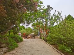 -南翠屏公园