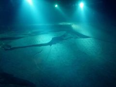 -白鹤梁水下博物馆