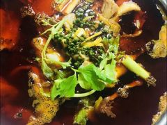 -蜀渔轩美蛙鱼火锅(郫筒店)