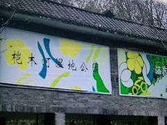 -桤木河湿地公园