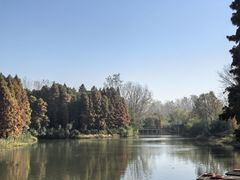 -溱湖国家湿地公园