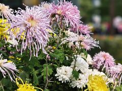 -共青国家森林公园-售票处