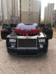 -蚂蚁婚车