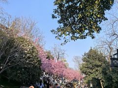 -龟山风景区-龟山电视塔