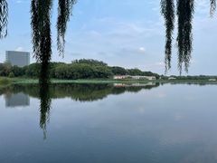 -大兴滨河森林公园