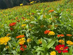 -森林公园(尖草坪区)