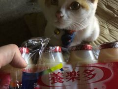-国人川菜(李家村建东街店)