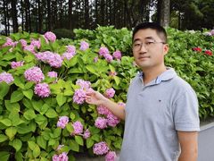 -泰州凤城河风景区-泰山公园