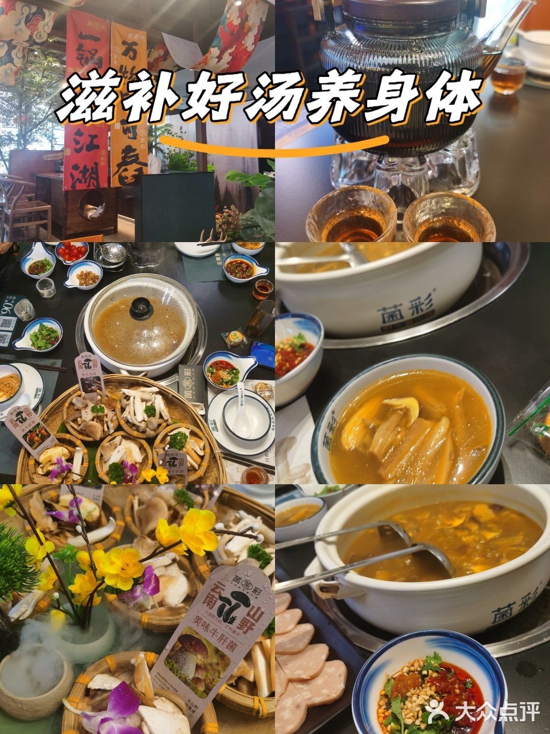 吃jier，一口鲜掉眉毛的山野冒险！🍄