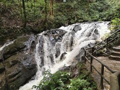 -莫里热带雨林景区