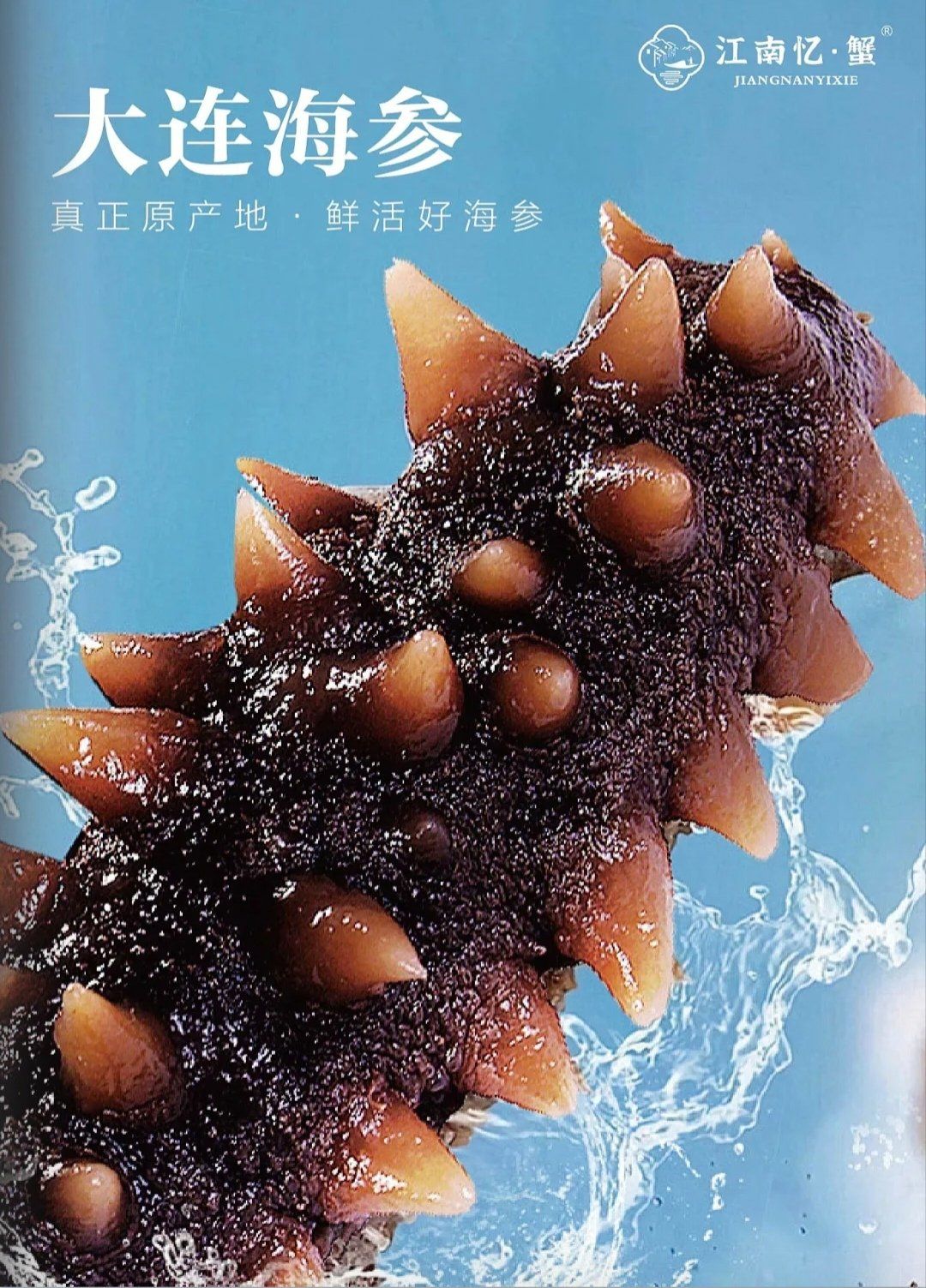 大连海参(古称辽参),产于大连沿海的一种