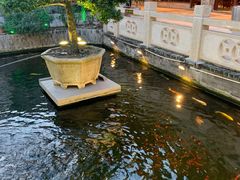 -顺德了能馆(虎门店)