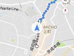 -成田山新胜寺