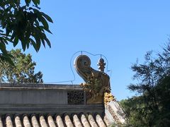 -潭柘寺景区