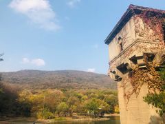 -紫霞湖公园