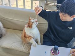 -小时光咖啡馆(北锣鼓巷店)