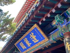 -蓬莱阁景区