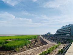 -南汇嘴观海公园