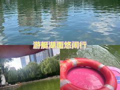 -团结湖公园