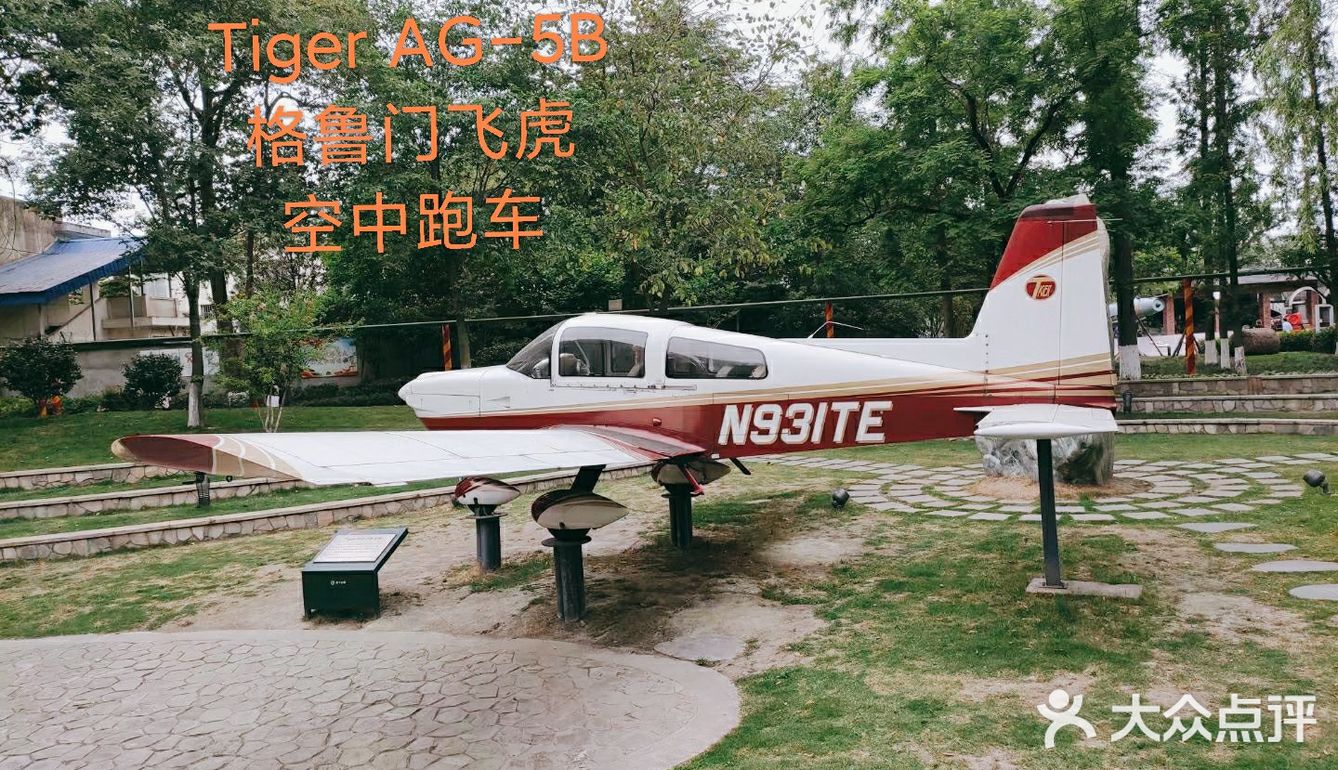 给我最爱的威龙打call