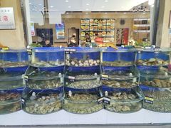 -京秀缘蒸汽海鲜农家菜大馅蒸饺