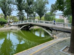-团结湖公园