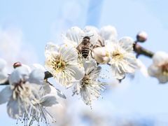 -广州市流溪河国家森林公园