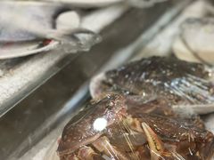 -潮汕铺老店(甜水井店)