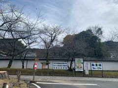 -醍醐寺
