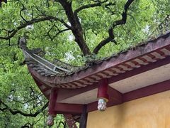 -涂山寺素食餐厅