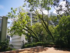 -香港大学