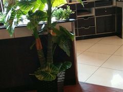 -必胜客(鹤山大道店)