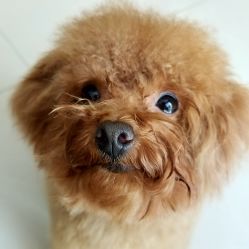 -匿名者纹身学院派·刺青